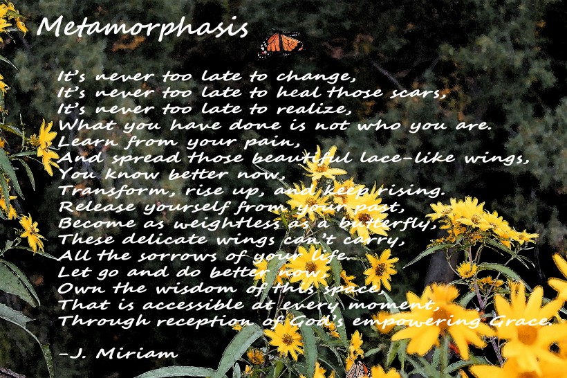 Metamorphasis_edited-3
